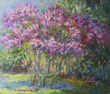 The lilac tree