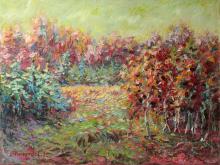 Young Forest