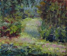 The Forest meadow