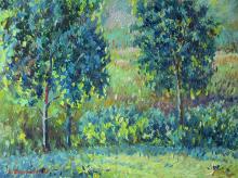 Summer Landscape