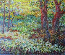 Ferns forest