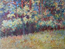 Pine-trees on a the Hill