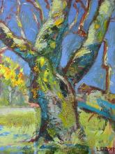 Old Oak