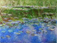 Water Lilies