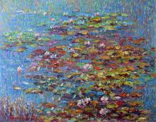 Water Lilies in the pond