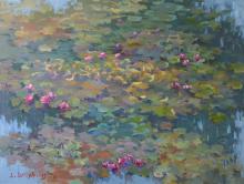 Water Lilies in the Pond (1)